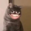 Trending memes 19