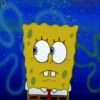 BOB ESPONJA 13