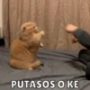 Memes pt.3 7