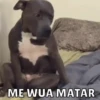 Memes pt.3 14