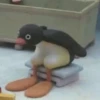 Pingu&patrick 5