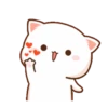 Perkucingan 13