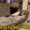 ME REPRESENTAM  13