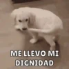 Memes pt. 4 6