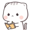 Kucing 1 24