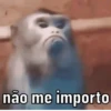 ️JÁ VIU ESSAS 9