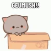 Peach Cat Uwu 12
