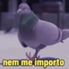 Animadas 14
