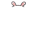 Senam skj 5