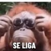 MAIS REAÇÕES PRO WHATSAPP 5