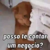 ️JÁ VIU ESSAS 12