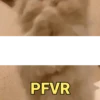 Para você 😂👀 5