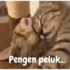 Animasi kucing 8