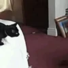 REAÇÕES DO DIA-A-DIA 14