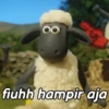 Shaun the sheep 13