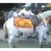 Pakistani meme 11