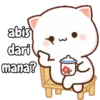 Peach kucing lucu 8