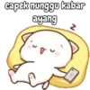 Peach kucing lucu 14