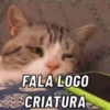 TÔ SEM PACIÊNCIA 🙄 8