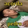 ACORDA PEDRINHO 6
