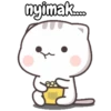Kitty cute 8