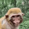 Funny Meme 6