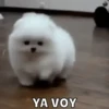 Memes pt.3 8