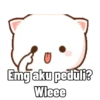 Perkucingan 14