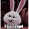 Boo n rabbit cute sticker 12