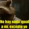 😎Memes Pro Animados Vol.III💥 14