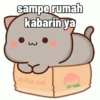 Peach Cat (4) 13