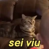 Memes e reações variados 10