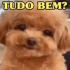 MEIGAS E FOFAS 🥰 6