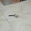 Tiktok Virales Mix 2😎🤙 8