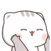 Kucing 1 7