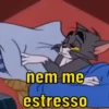 ACHEI MEU MEME  11