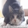 🎆🥂Feliz Año Nuevo 2O22🥂🎆 5