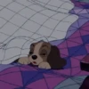 Quero dormir 12