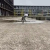 🐕 PUSHKIN TIK TOK 🐾 7