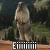 ACHEI MEU MEME  8