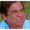 Trending memes 15