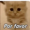 Animadas ✓ 15