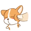 Animated Dog 13