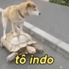 Figurinhas que você precisa 11