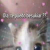 💕😻Gatitos De Amor😻💕 7