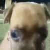 Random Mov 2 15