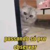 T passando só pra observar