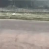 Funny Animated 7