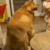 Tiktok Virales Mix 2😎🤙 11