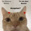 💕😻Gatitos De Amor😻💕 9